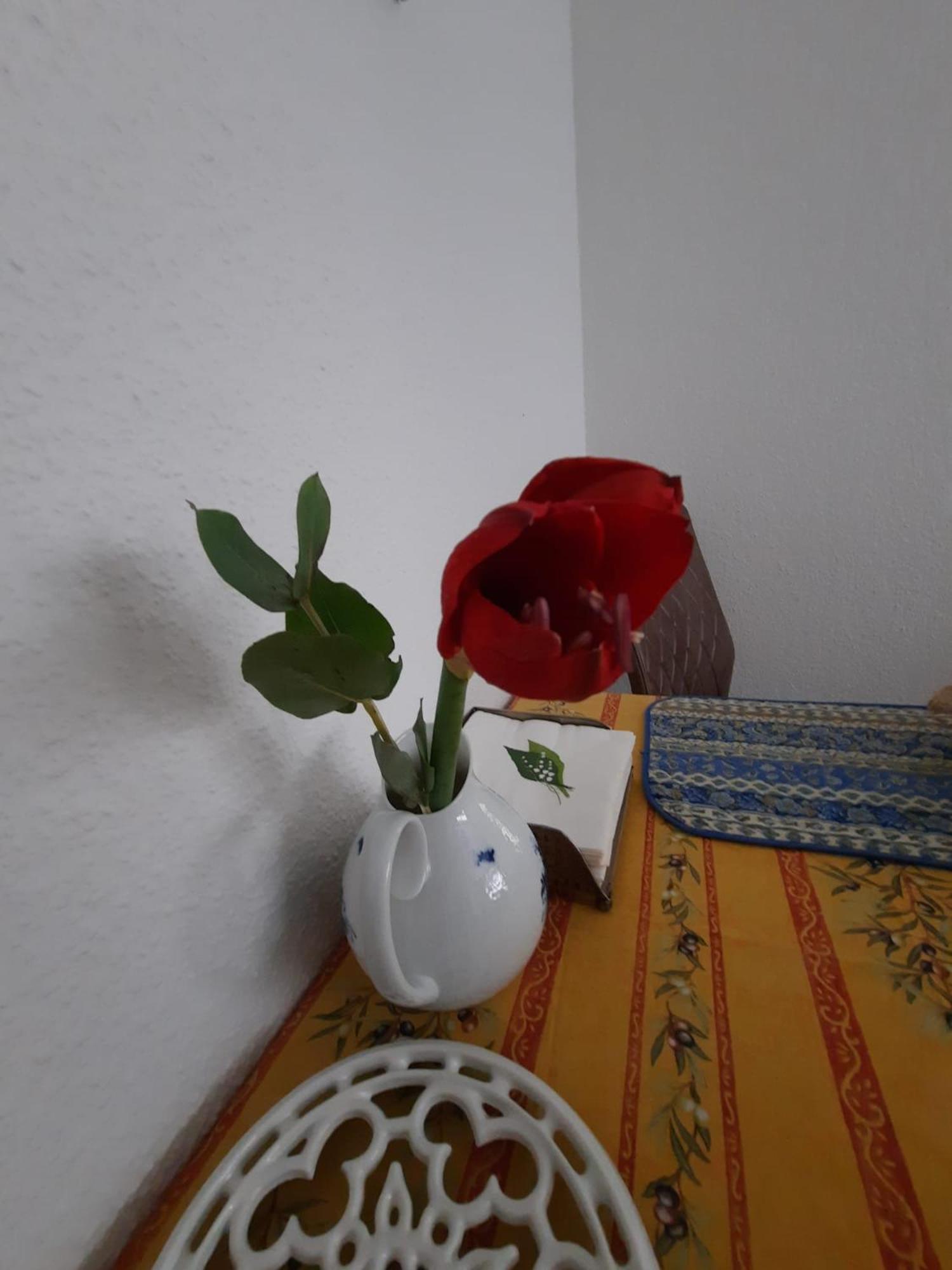 Gemuetliches Nest In Bester Koelner City-Wohnlage Kültér fotó